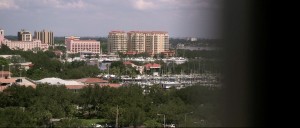 ST PETERSBURG florida city wedding