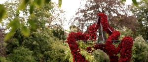 luxury micro wedding floral arch wedding inspiration monkey island estate video