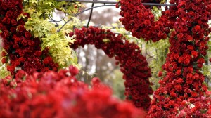 outdoor wedding ceremony monkey island estate floral arch red rose inspiration