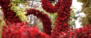 luxury micro wedding outdoor wedding ceremony monkey island estate floral arch red rose inspiration