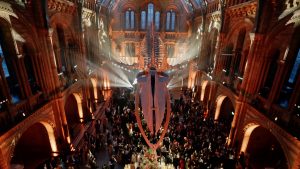 Natural history museum wedding london